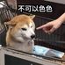 Derek Li - Facebook