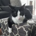 Derek Light - @djlight11 - Instagram