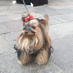 Derek.london - @derek0099 - Instagram