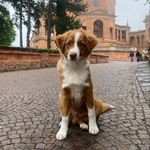 Derekito - @lord___derek - Instagram