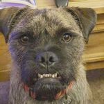 Lord Derek - @lordderekadventures - Instagram