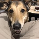 Derek Lynch - @derek._.lynch - Instagram