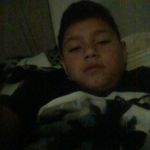 derekmaciel - @harveyjacobor01 - Instagram