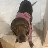 Derek.maciel - @derek.macielf - TikTok