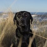 Derek Mack - @derekmackphotography - Instagram