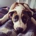 Derek Madigan - Facebook