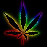 Derek Maggard - @stoned.walrus - Instagram