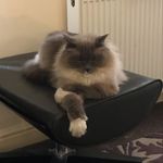 Derek Maher - @drkjoero1958 - Instagram