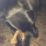 Derek Makowski - @derek_makowski - Instagram