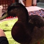 Derek Malone - @hunting88 - Instagram