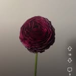 Derek Manger - @d_man2000 - Instagram