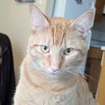 Derek Maple - @maplederek - Instagram