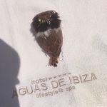 Derek Markham - @derek_the_owl - Instagram