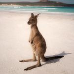 Derek Marks - @aussie_adventures2022 - Instagram