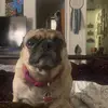 derekmarrufo - @dmar725 - TikTok