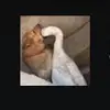 derekmarrero3 - @d.k1_20 - TikTok