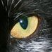 Derek Marriott - Facebook