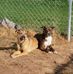 Derek Mannette - Facebook