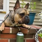 Derek Martel - @dzmartel - Instagram