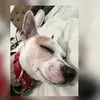 Derek Martel - @derek.martel - TikTok