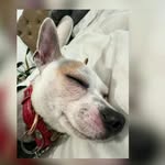 Derek Martel - @derekmartel_ - Instagram