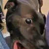 Derek Martinez - @i.do.be.stupid.tho - TikTok