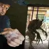 Derek Martinez - @derek.martinez92 - TikTok