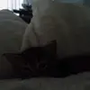 Derek Martinez - @derek.martinez417 - TikTok