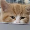 derek martinez - @derek.martinez550 - TikTok