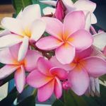 Derek martins - @derekmartins769 - Instagram
