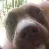 Derek Martins - @derek.martins - TikTok