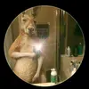 Derek Matamoros - @derek.matamoros - TikTok