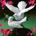 Derick Mathew - Facebook