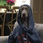 Derek Matson - @matson.derek - Instagram