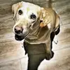 Derek Matthew - @derek.0331 - TikTok