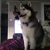 Derek_Matthew - @derekmatthew7 - TikTok