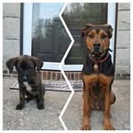 Derek Mattson - @dmattson507 - Instagram