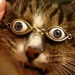 Derek Mattson - @tiny_peen_the_big_bean - Instagram