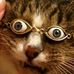Derek Mattson - Facebook