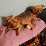 Derek Mayhew - @d83591221 - Instagram