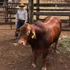 Derek Mays92 - @derekmays76 - TikTok