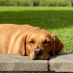 Derek McIntyre - @mcintyrederek74 - Instagram