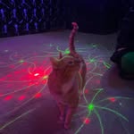 Derek McKee - @coasterchode46 - Instagram