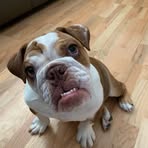 Derek McKenzie - Facebook