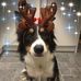 Derek McPherson - Facebook