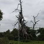 Derek Meadows - @meadows_derek - Instagram