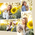 Derek & Meredith Shihtzu's - @derekmeredithshitzuoficial - Instagram