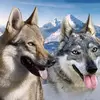 Derek e Meredith - @derek.meredith.9 - TikTok