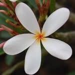 Derek Moeller - @derek_pdx - Instagram