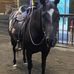 Derek Monahan - Facebook